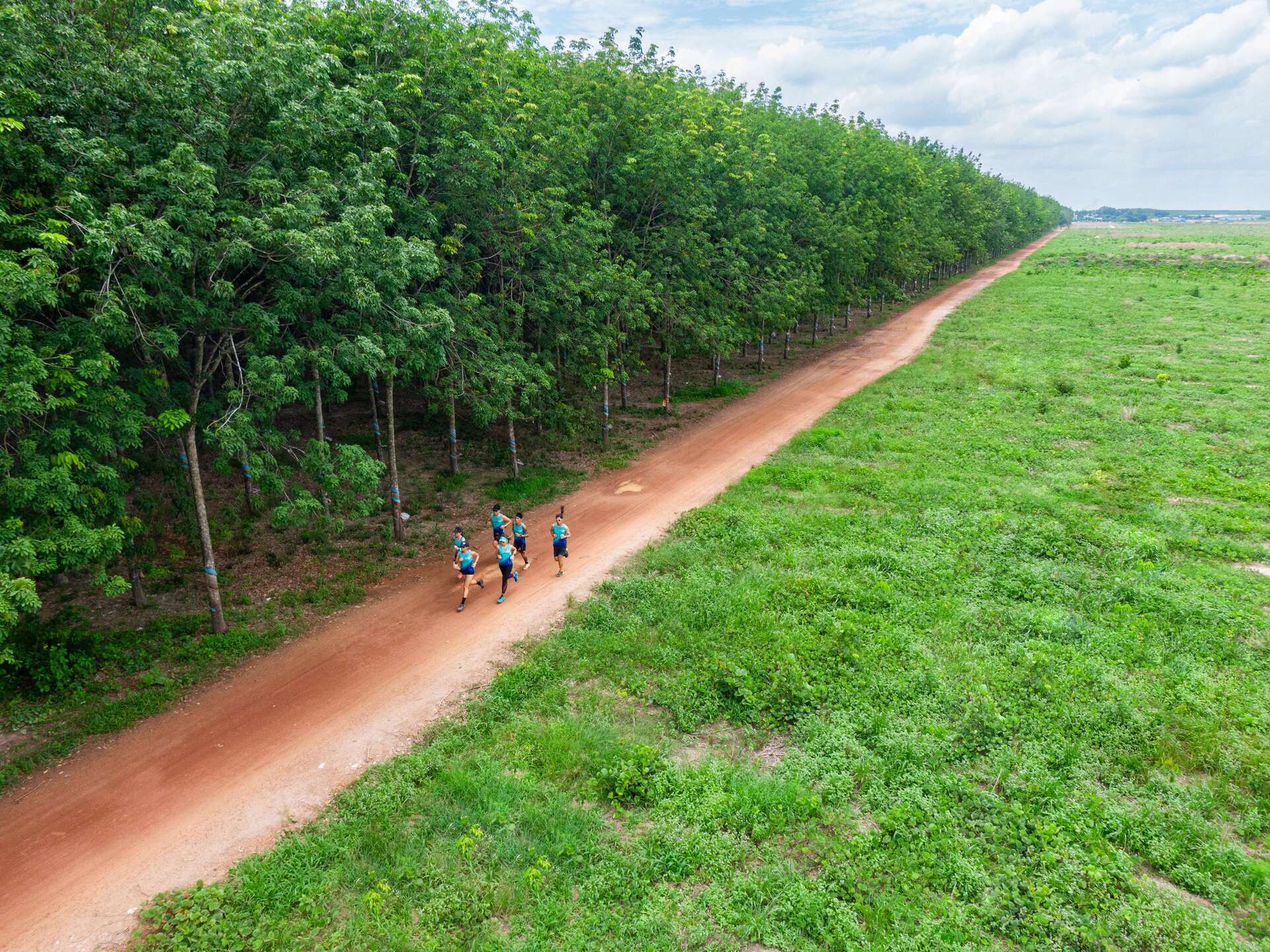 AMI AC Renewables và Coteccons: Chung tinh thần, hiểu ý tưởng và cùng đồng hành vì một Việt Nam xanh